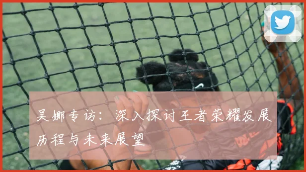 吴娜专访：深入探讨王者荣耀发展历程与未来展望