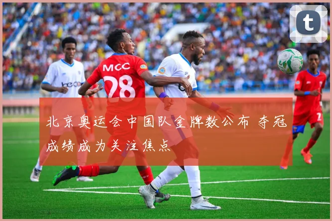 北京奥运会中国队金牌数公布 夺冠成绩成为关注焦点