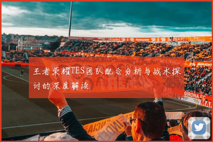 王者荣耀TES团队配合分析与战术探讨的深度解读